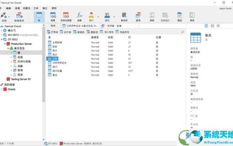 Navicat Premium 17.0.7激活(Navicat 15 for Oracle中文激活成功教程版 V15.0.17.0 免费激活码版)