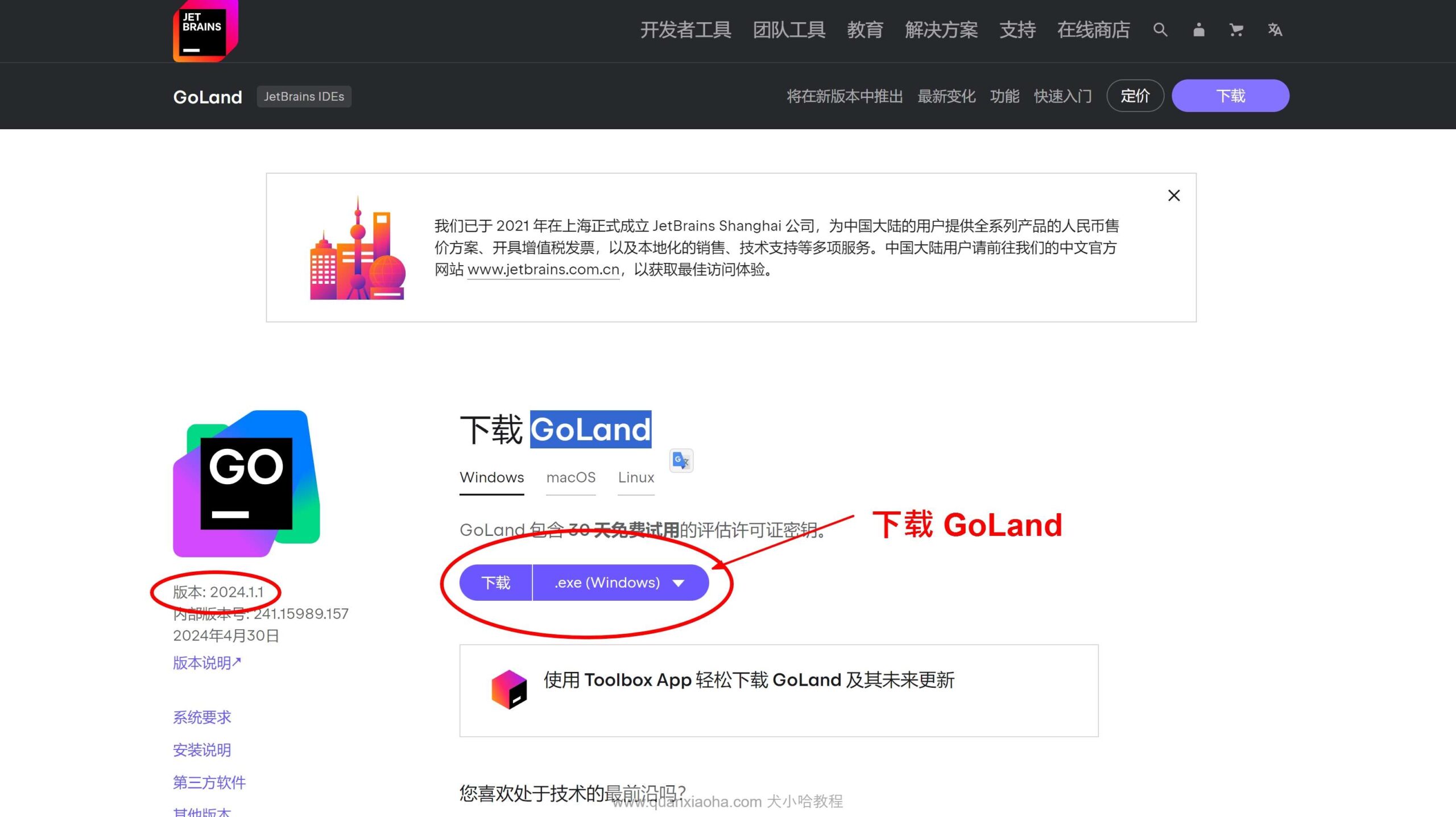 下载 GoLand 2024.1.1 安装包