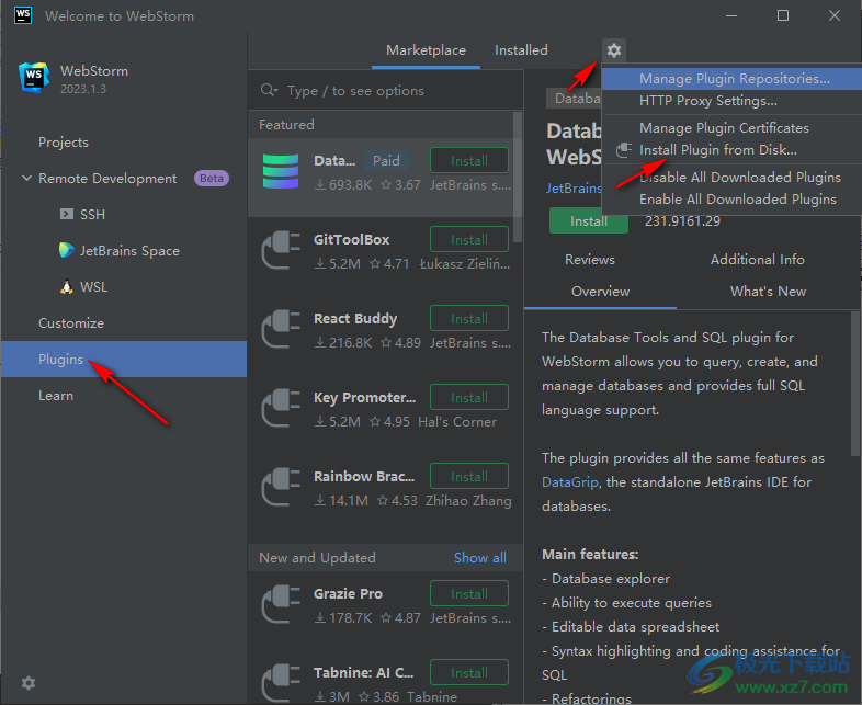 WebStorm2023中文语言包