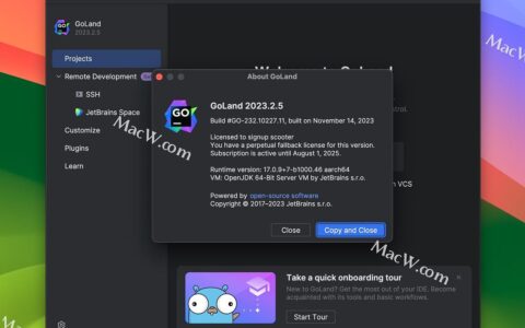 Goland激活2023.2.5(GoLand 2023.2.5中文激活版 附 激活码 支持M1)