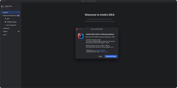 IntelliJ IDEA 2023.3.0激活成功教程版 第1张图片