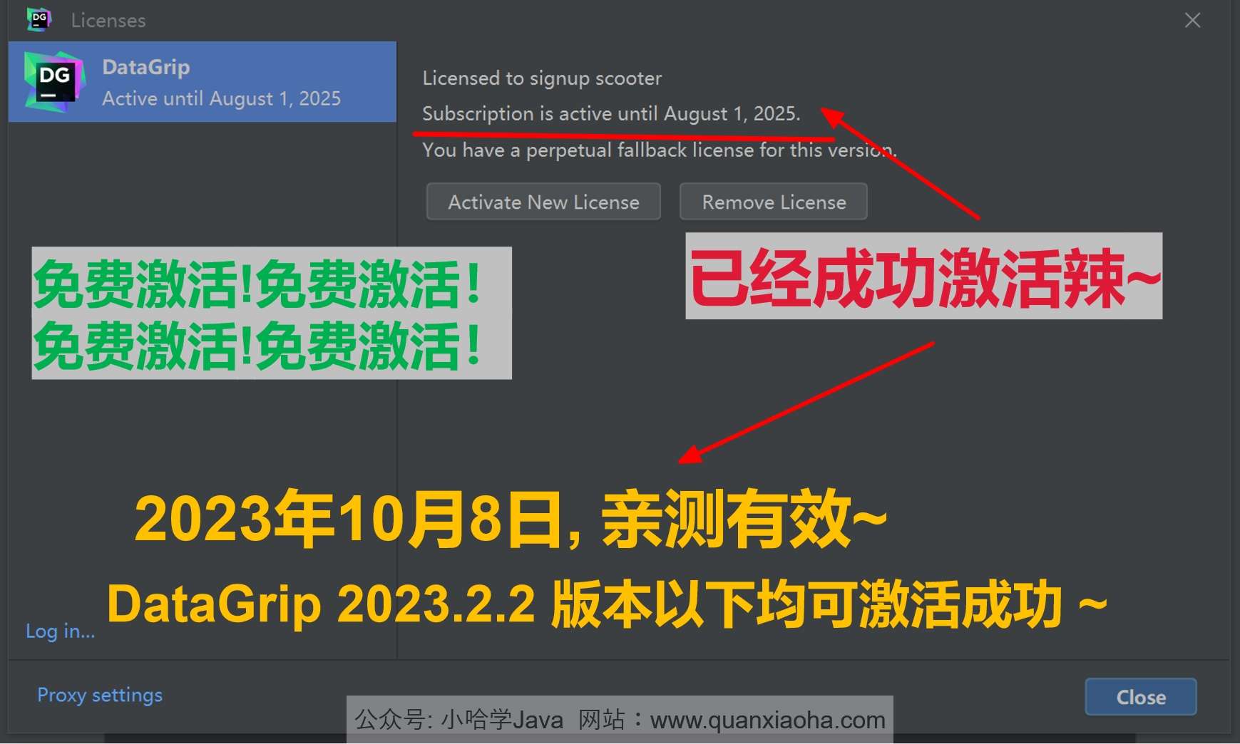 Datagrip 2023.2.2 版本启动界面