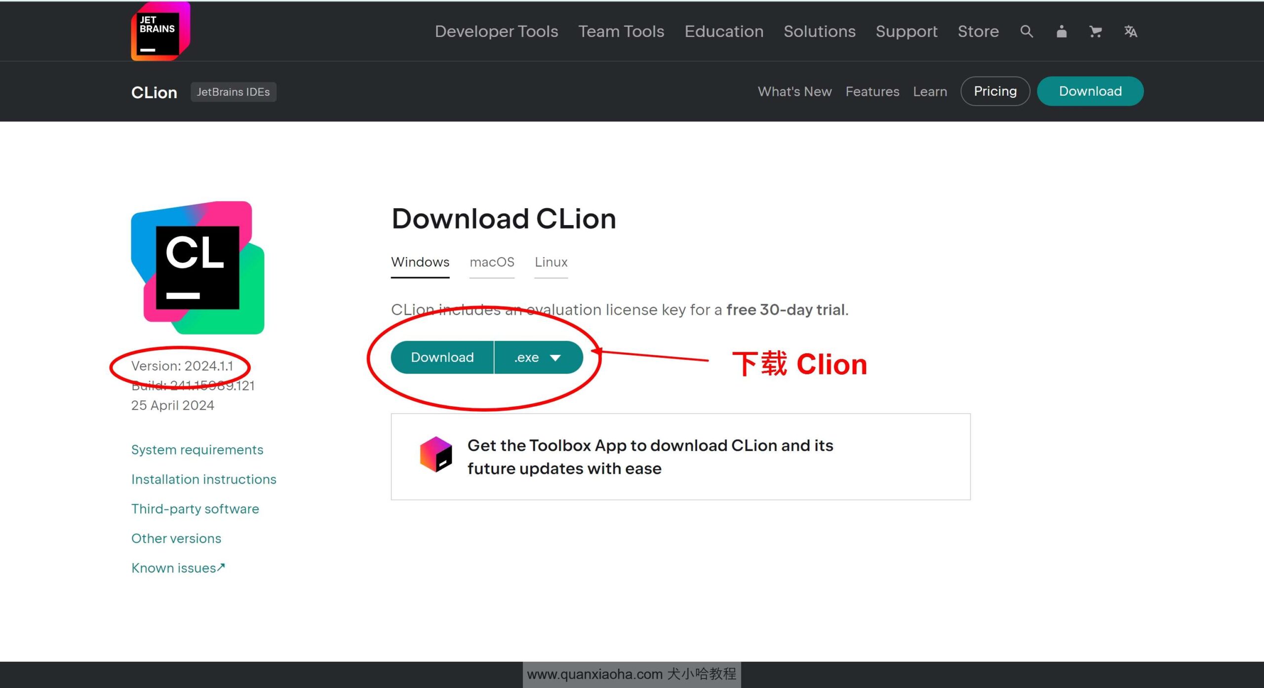 Clion 2024.1.1版本官网下载