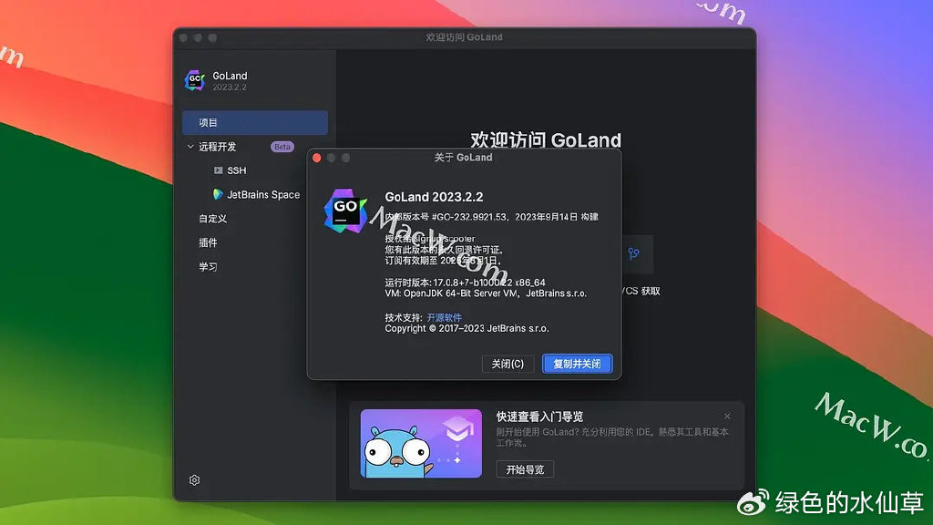 Goland激活2023.2.1(无需账号登录 GoLand 2023.2.2中文激活成功教程版 及 完整图文安装激活教程)