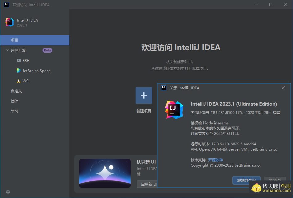 IntelliJ IDEA 2023.2.1 IDEA2023中文激活版 2