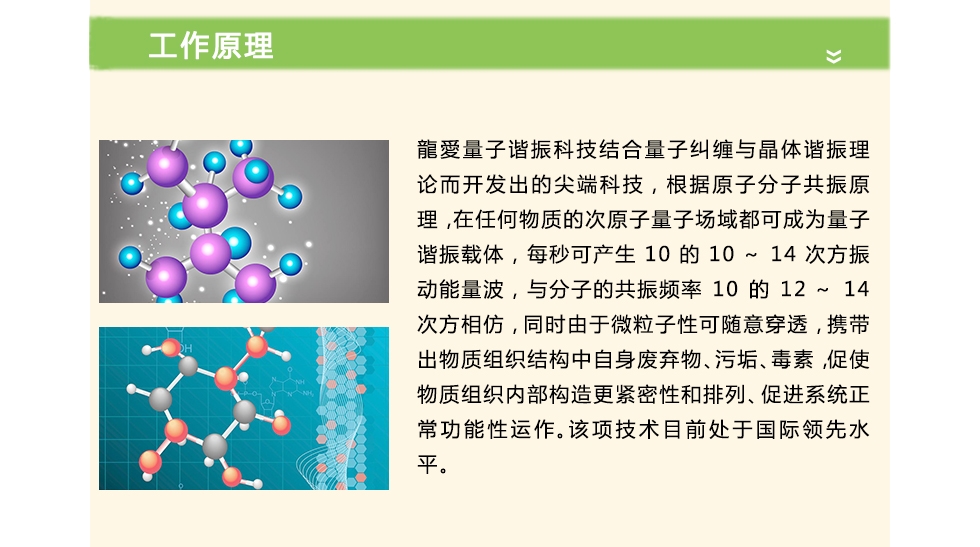 龍爱量子产品介绍