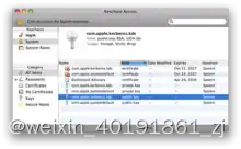 钥匙串（英文：Keychain）是苹果公司Mac OS中的密码管理系统。