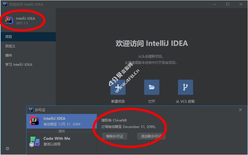 IntelliJ IDEA 2024.1.4 Ultimate 永久激活版