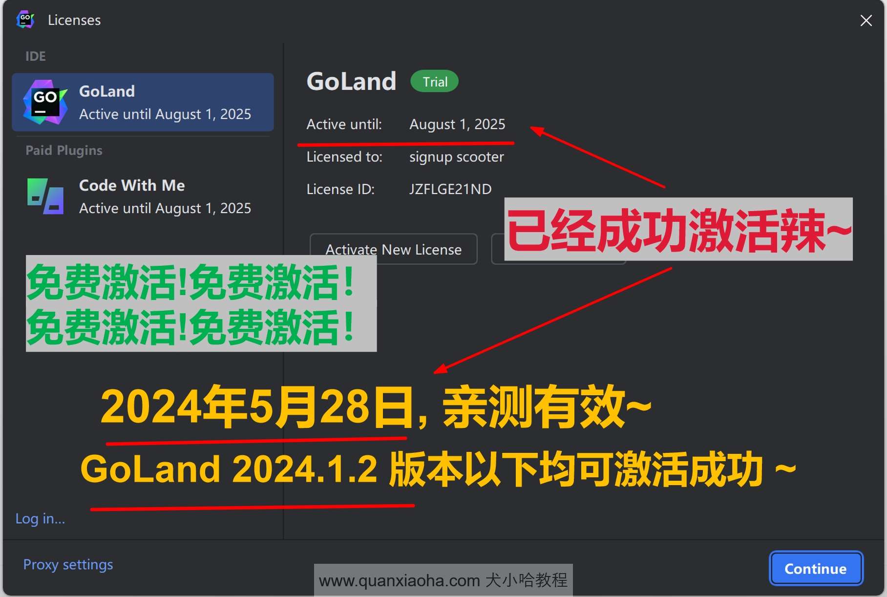 GoLand 2024.1.2 成功激活成功教程激活截图