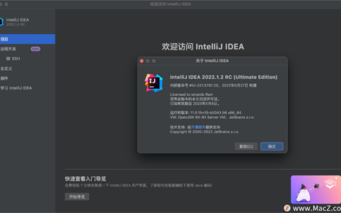 Idea激活2022.1.2(JetBrains IntelliJ IDEA 2022 Mac／win(Java平台IDE)v2022.1.2无限试用版)