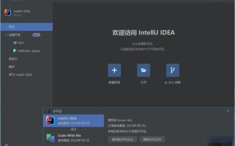 Idea激活2022.2(IntelliJ IDEA Ultimate 2022.2.2永久激活版)