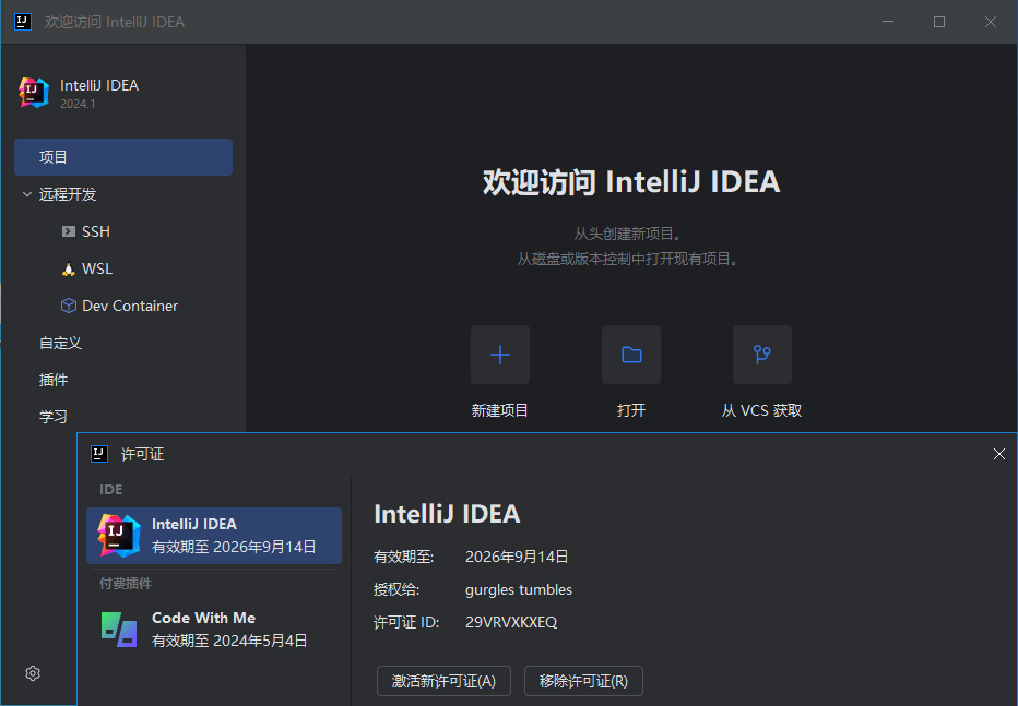 图片[2] - IntelliJ IDEA 2024.1.4 IDea 2024中文激活版 - 聚问天空网