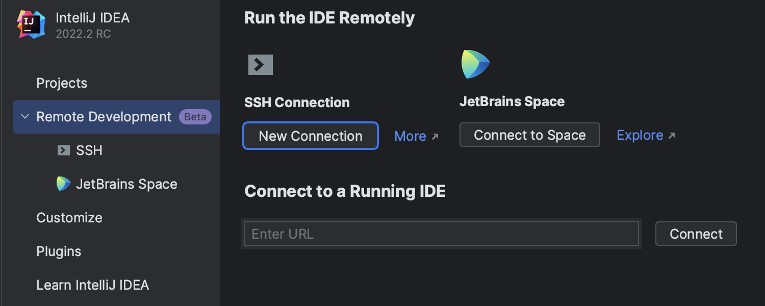 https://www.jetbrains.com/idea/whatsnew/2022-2/img/RD.png