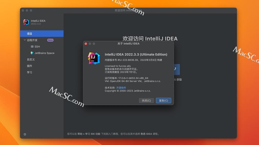 Idea激活2022.3.3(Java开发软件 intellij idea2022永久版安装 V2022.3.3 Mac版)