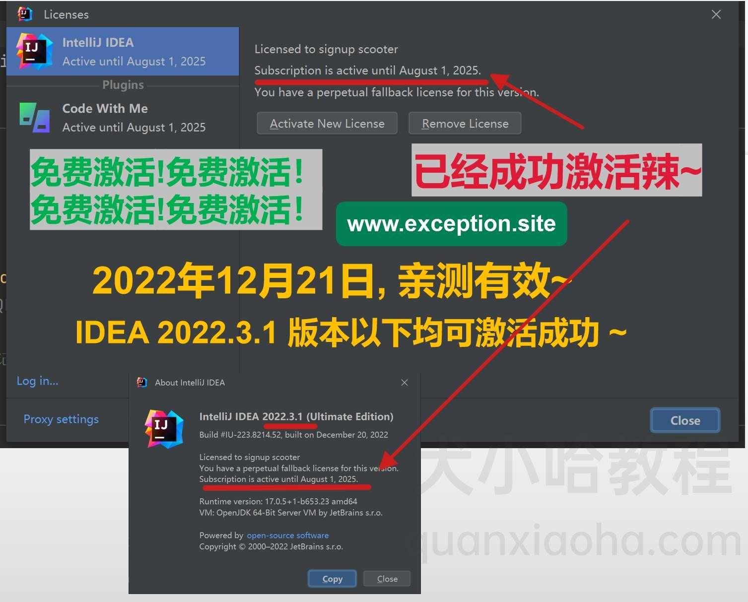 Idea激活2022.3(IntelliJ IDEA 2022.3.1最新激活激活成功教程教程（永久激活，亲测有效）)