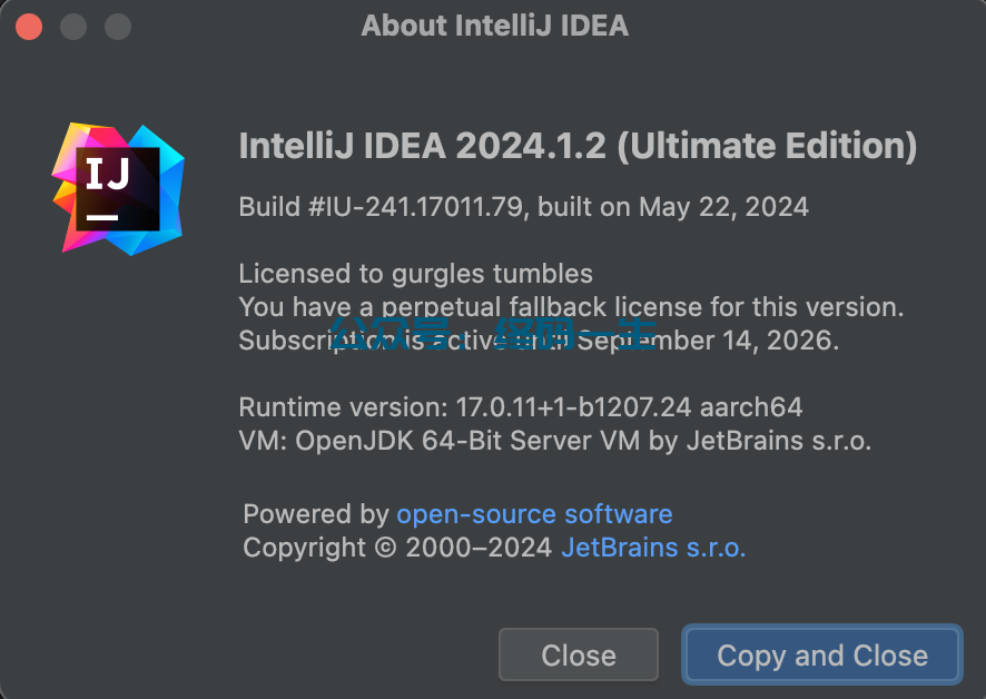 Idea2024.1.3激活码(IntelliJ IDEA 2024.1.2 激活码 激活成功教程工具和教程 永久激活成功教程（全家桶激活）)