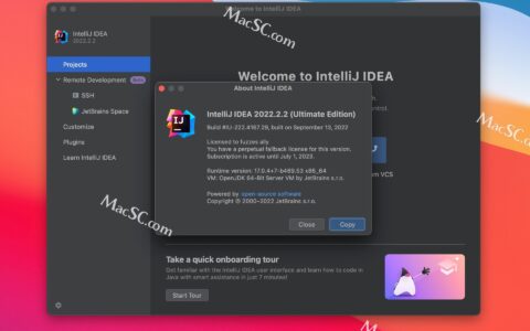 Idea激活2022.2.2(IntelliJ IDEA 2022 for Mac(最好用的Java开发工具)v2022.2.2中文激活版)