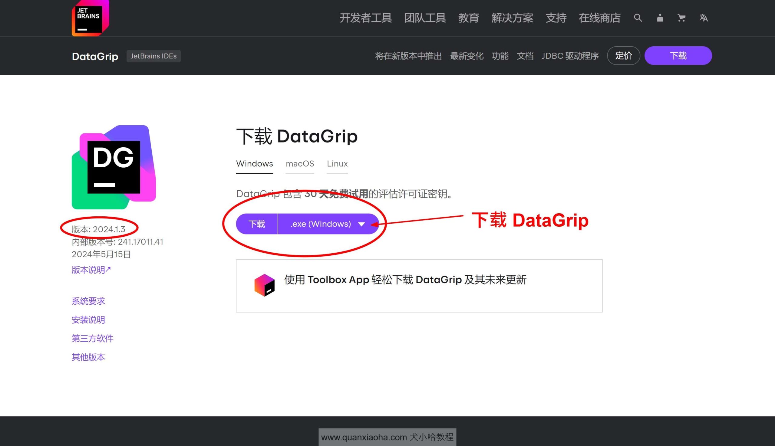 Datagrip 2024.1.3版本官网下载