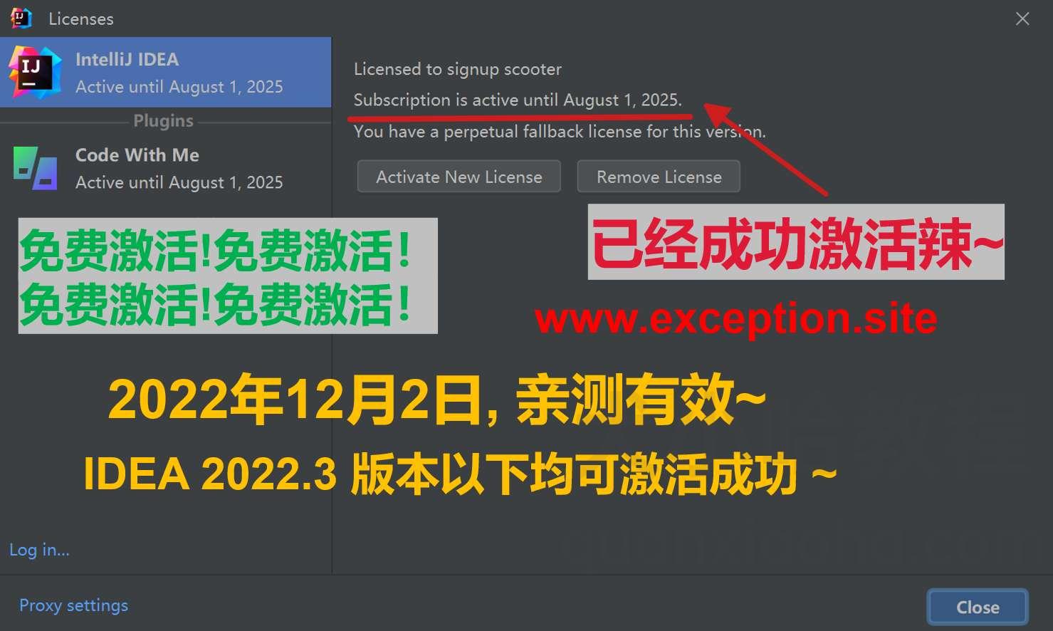 IDEA 2022.3 成功激活成功教程激活截图