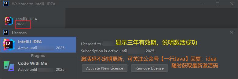 Idea激活2022.3(IDEA激活成功教程最新 2022.3 永久激活码教程（亲测有效，持续更新）)