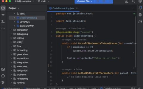 Idea激活2022.3.2(JetBrains IntelliJ IDEA 2022(Java开发工具)v2022.3.2win／mac中文版)