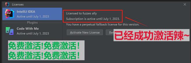 RubyMine激活2022.2(IntelliJ IDEA 2022.2最新激活激活成功教程教程（永久激活，亲测有效）)