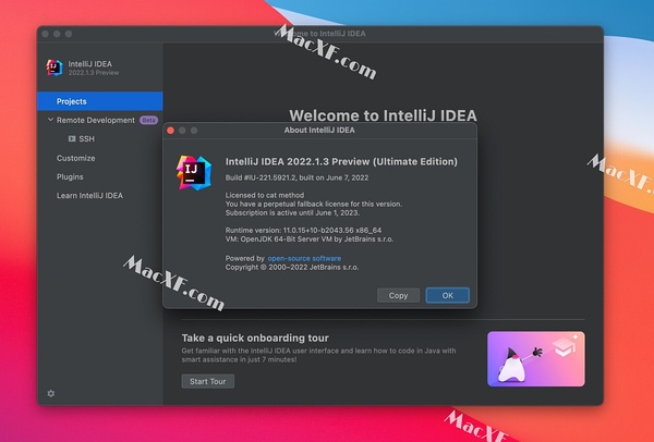 Idea激活2022.1.3(IntelliJ IDEA 2022 for mac2022.1.3中文版下载，支持m1芯片)