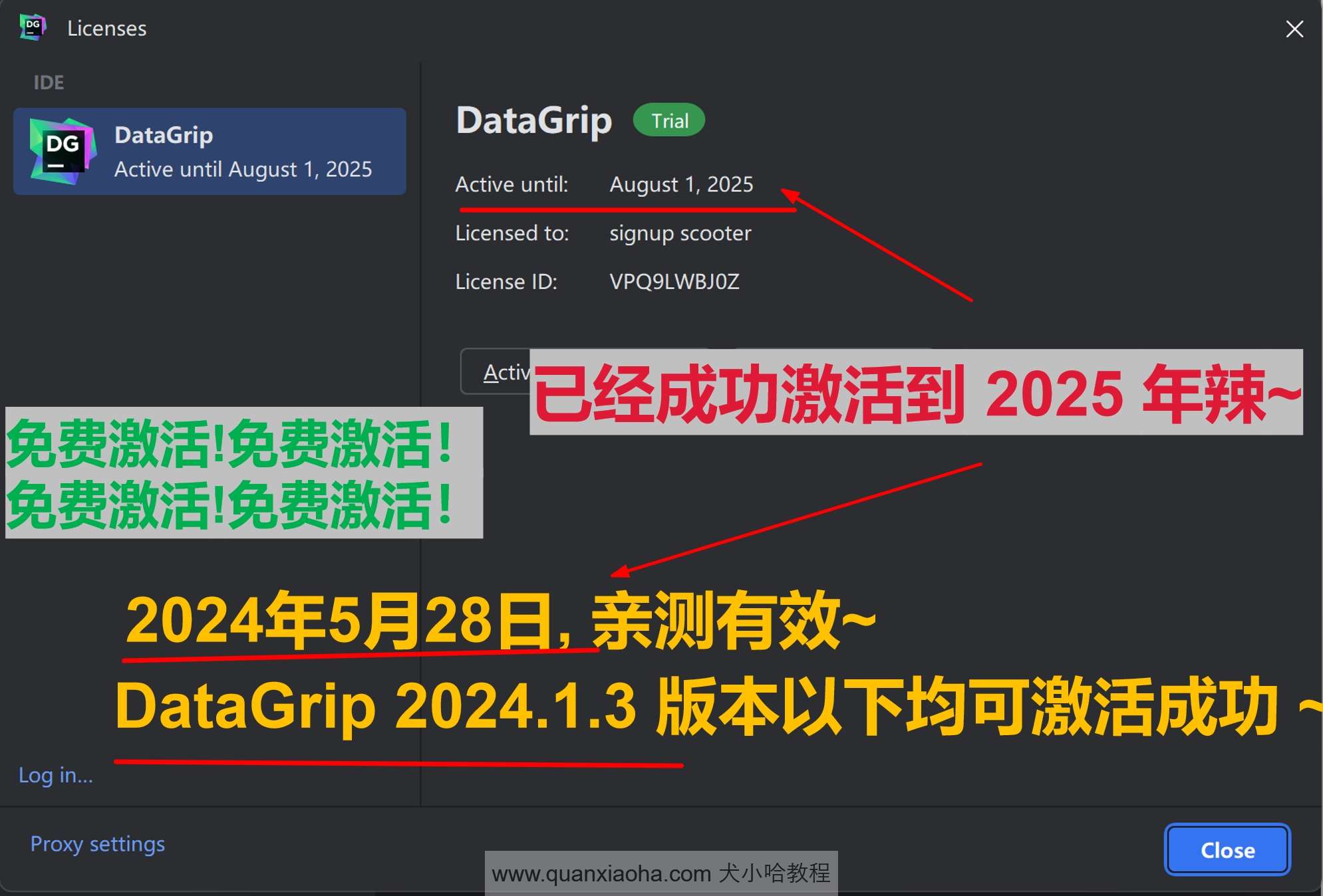 Datagrip 2024.1.3 版本启动界面