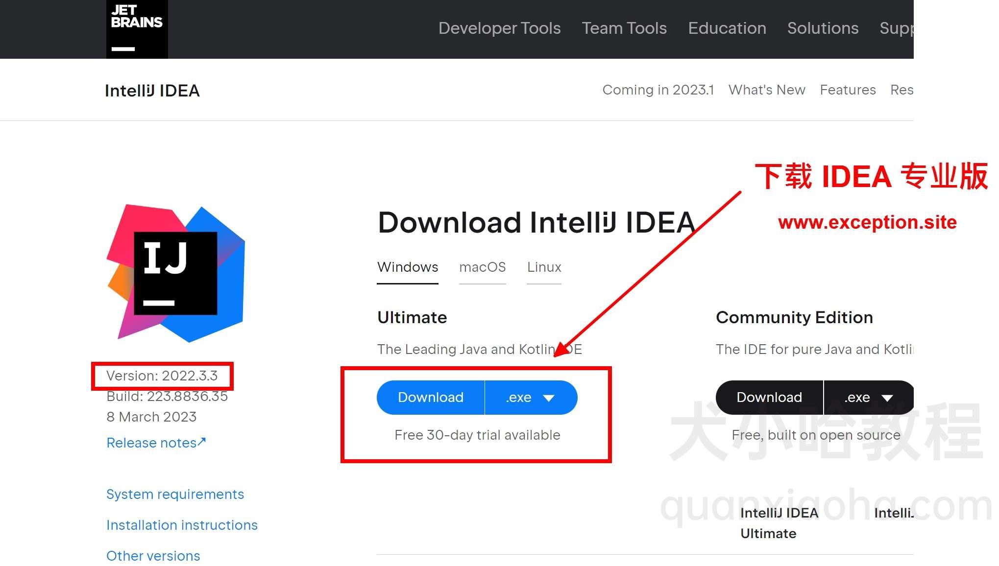 下载 IDEA 2022.3.3 安装包