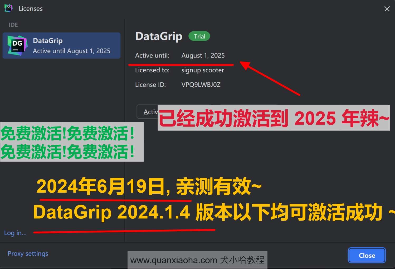 Datagrip 2024.1.4 版本启动界面