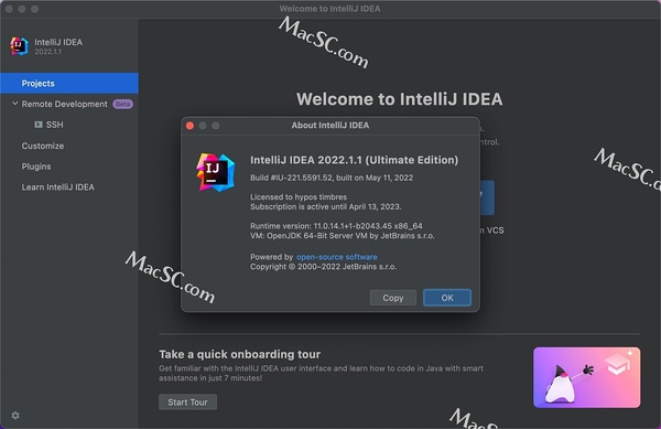 Idea激活2022.1.1(JetBrains IntelliJ IDEA 2022 for Mac2022.1.1正式激活成功教程版)