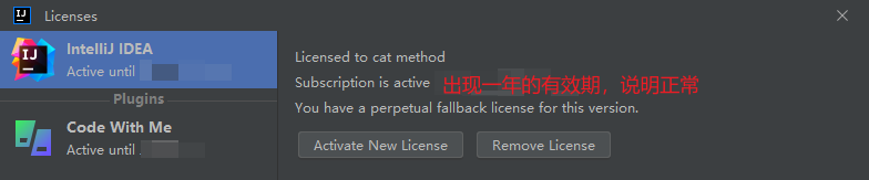 Idea激活2022.2(IDEA 2022.2 最新版永久性激活安装教程，亲测有效，适用于JetBrains全家桶)