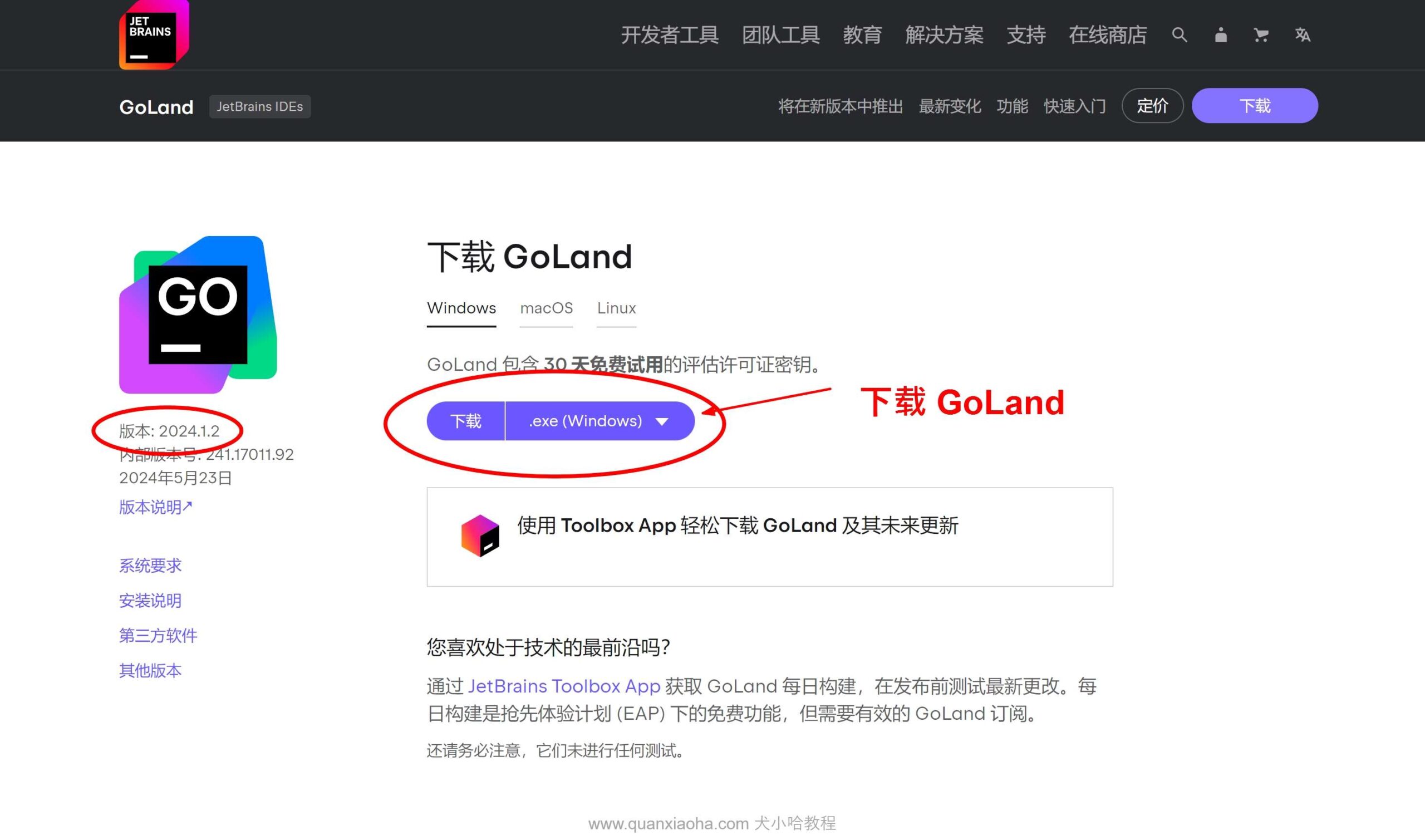 下载 GoLand 2024.1.2 安装包
