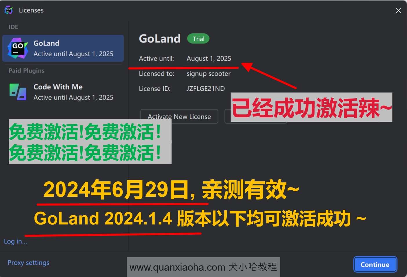 GoLand 2024.1.4 成功激活成功教程激活截图
