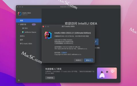 Idea激活2022.2.1(IntelliJ IDEA 2022 for Mac(最好用的Java开发工具)v2022.2.1中文永久激活版)