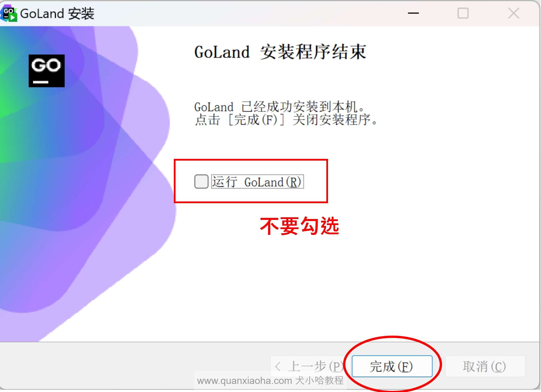 安装 GoLand 2024.1.1 版本成功