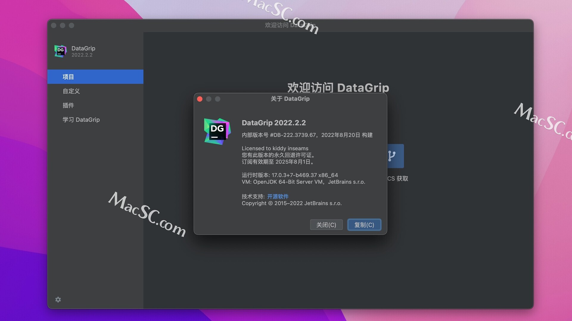 Datagrip激活2022.2.2(JetBrains DataGrip 2022 Mac中文版(多引擎数据库管理工具)2022.2.2)