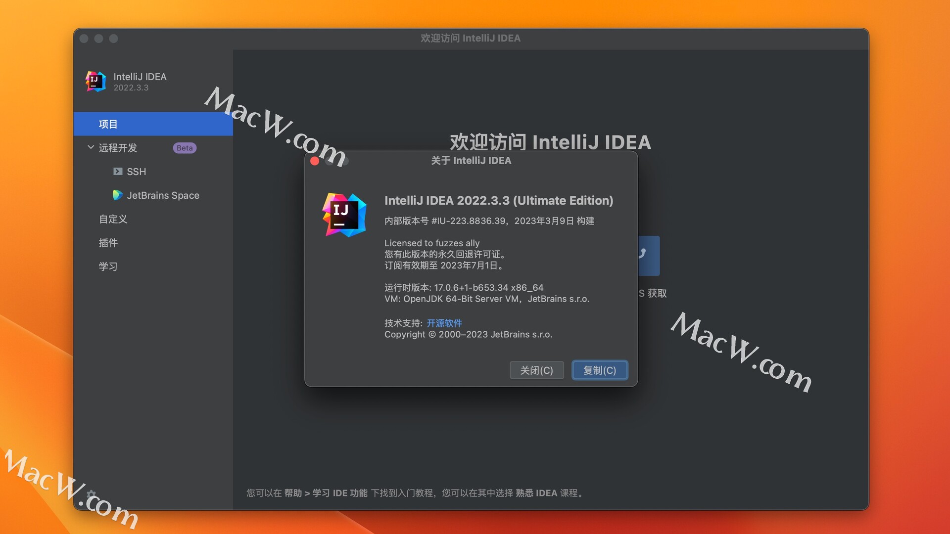 Idea激活2022.3.3(JetBrains IntelliJ IDEA 2022 for Mac(最好用的Java开发工具))