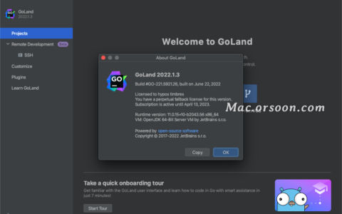 Goland激活2022.1.3(GO语言编程工具：JetBrains GoLand 2022 v2022.1.3中文版)