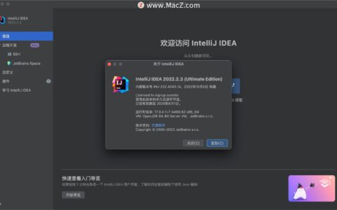 Idea激活2022.2.3(IntelliJ IDEA 2022 for Mac(最好用的Java开发工具)v2022.2.3汉化激活版)