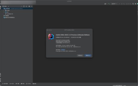 Idea激活2022.3(IntelliJ IDEA 2022 for Mac&win(最好用的Java开发工具) v2022.3.3汉化)