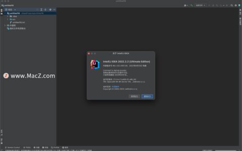 Idea激活2022.2.2(MacBook软件IntelliJ IDEA 2022 for Mac(最好用的Java开发工具)v2022.2.2汉化激活版)