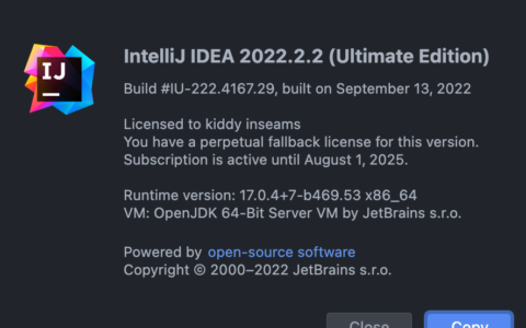 Idea激活2022.2.2(IntelliJ IDEA2022.2.2激活成功教程教程永久激活码最新激活工具Win／Linux／Mac版（亲测 永久激活）)