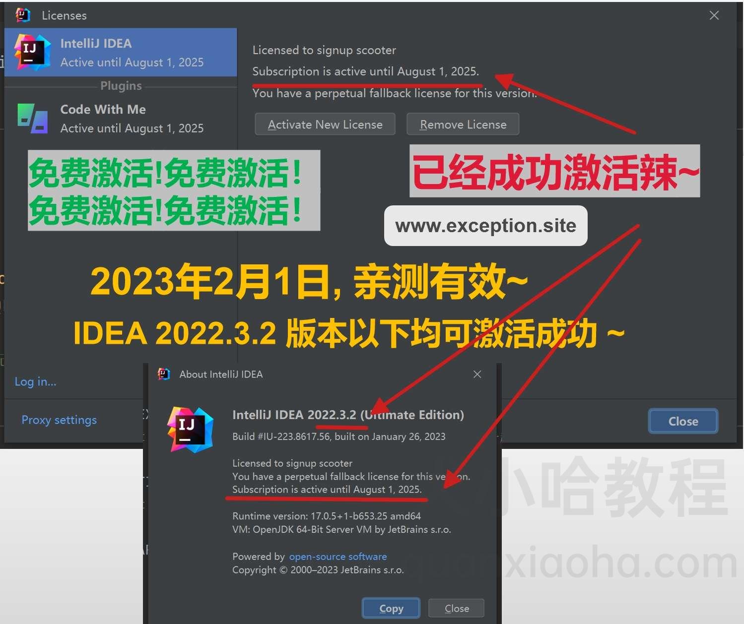 IDEA 2022.3.2 成功激活成功教程激活截图