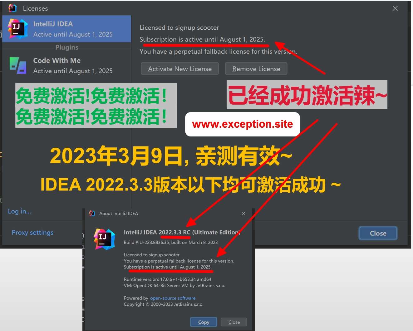 IDEA 2022.3.3 成功激活成功教程激活截图