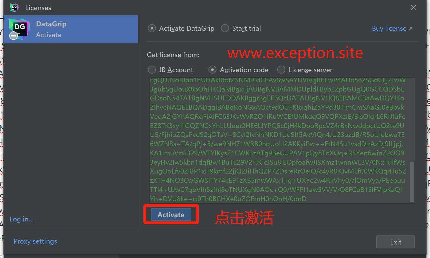 填入 Datagrip 2024.1.1 激活码