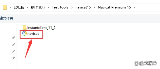 Navicat Premium 15.0.36激活(Navicat 15永久激活完全指南)