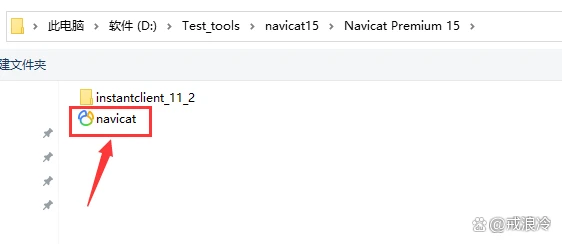 Navicat Premium 16.3.9激活(Navicat premium 15永久激活教程（亲测！）)