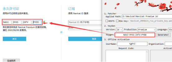 Navicat Premium 16 下載與安裝激活成功教程教程（詳細教程）