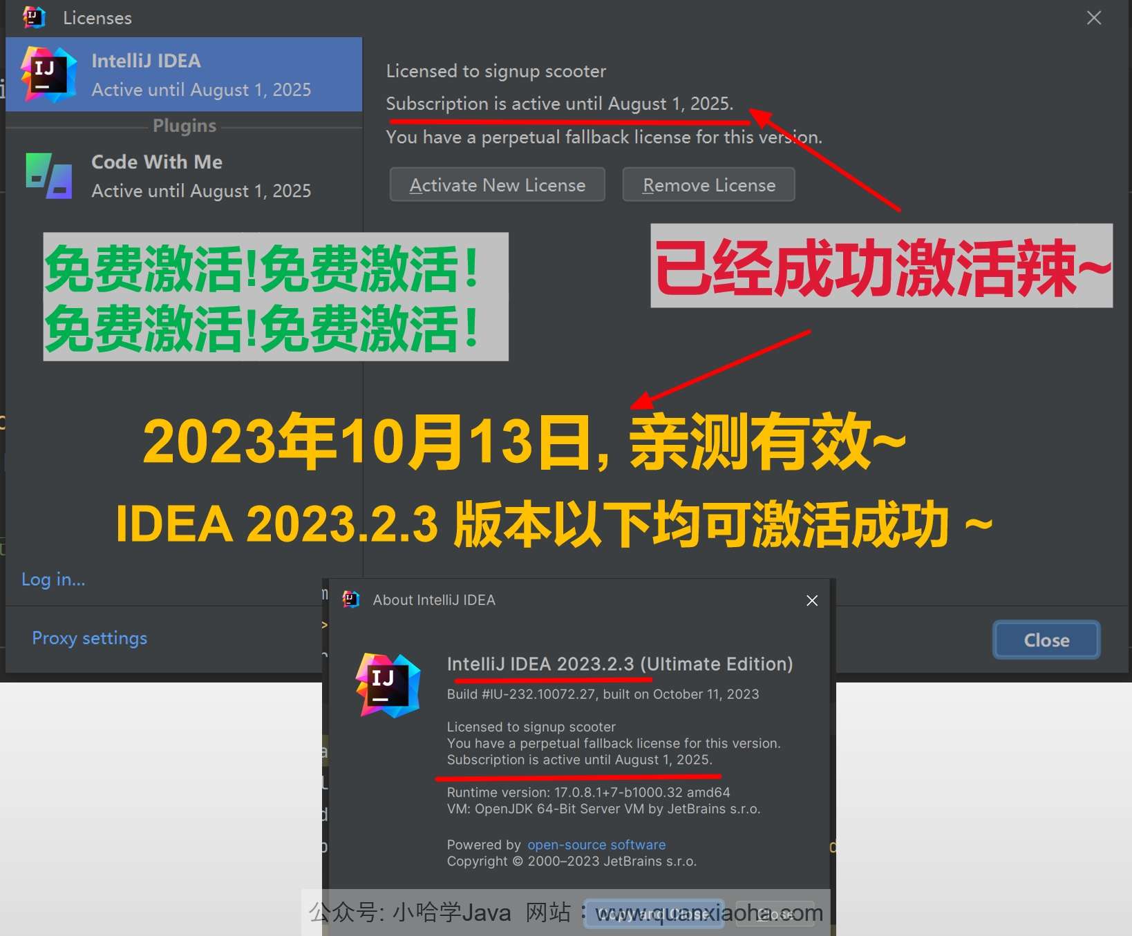 IDEA 2023.2.3 成功激活成功教程激活截图